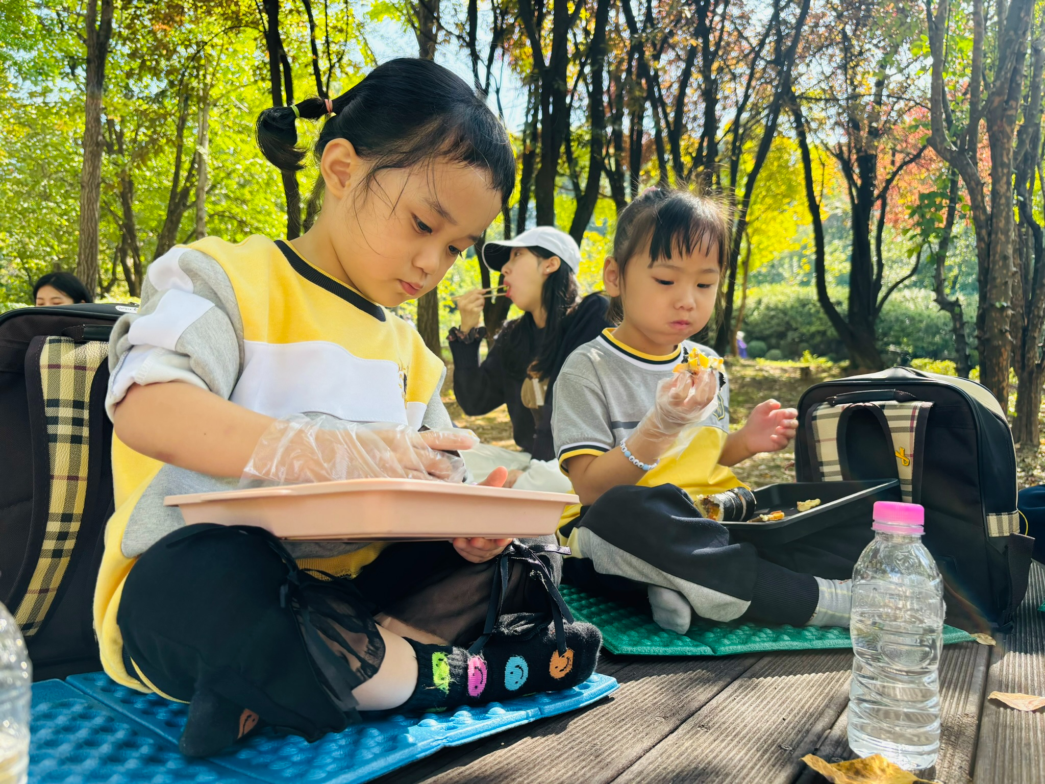 1008 유치원 현장체험학습