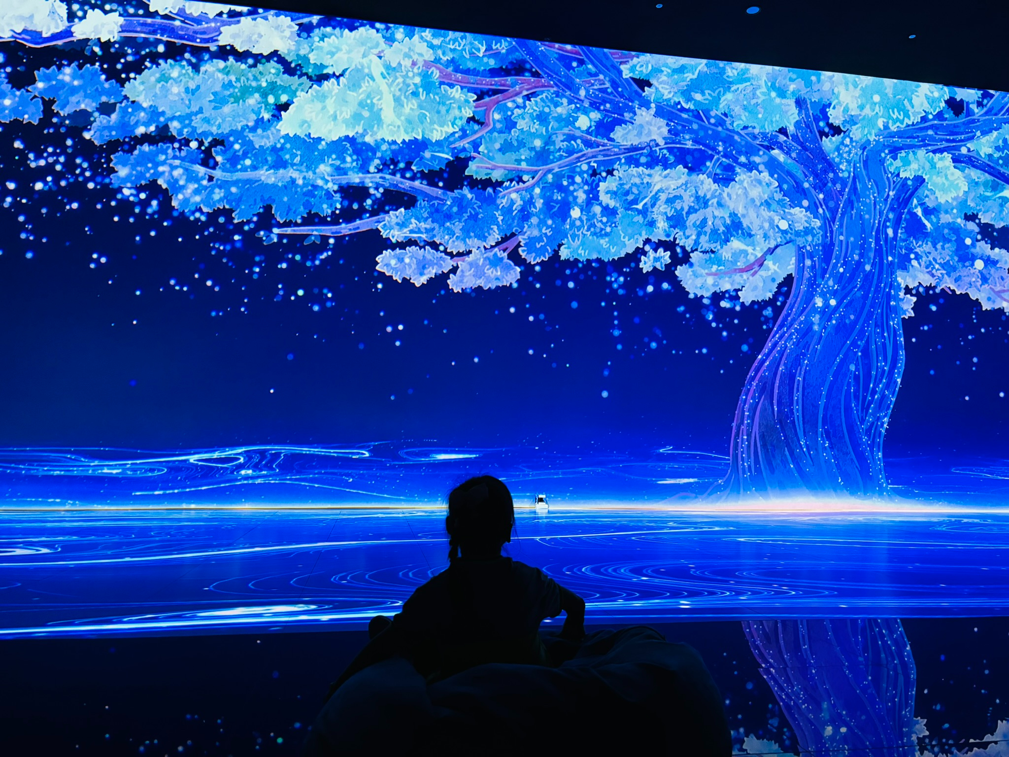 1030 통일안보현장체험학습 (임진각)