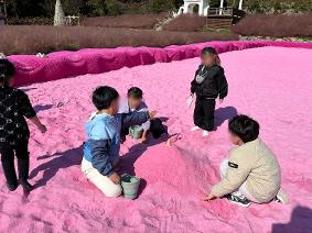 1028 허브아일랜드